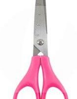 Tesoura Escolar Círculo