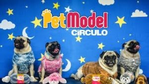 Fio Pet Model Círculo 100gr